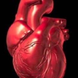 Как можно помочь сосудам сердца, забитым холестерином?