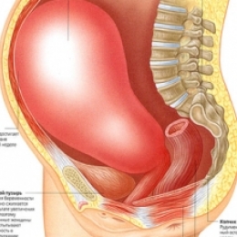 Почему при наличии схваток могут возникнуть проблемы с рождением ребёнка?