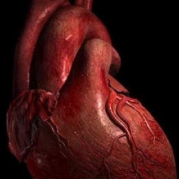 Боль в затылке - повод измерить давление