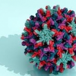 Пожелтение кожи через несколько месяцев после полового акта с новым партнёром