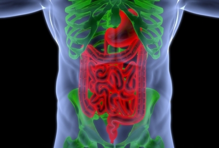 Желудочно-кишечные кровотечения