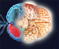 Атаксия Фридрейха
