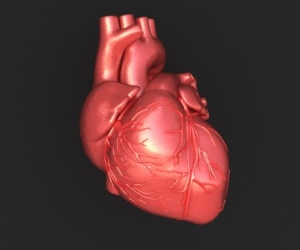 Повреждения сердца