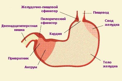 Ахилия желудка