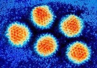 Аденовирусная инфекция