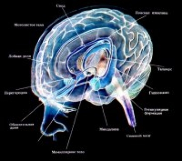 Хорея Гентингтона