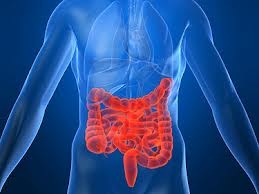 Болезнь Крона (воспаление кишечника)