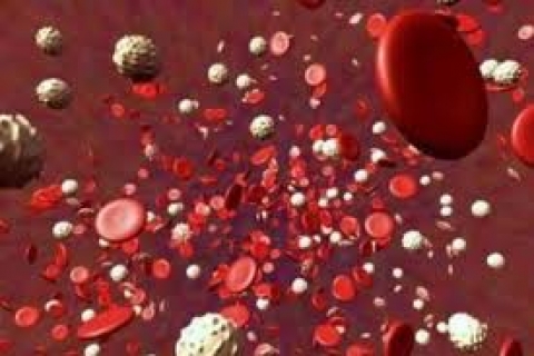 Агранулоцитоз