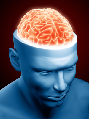 Менингит (воспаление мозга позвоночника) фото