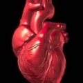 Атеросклеротическая болезнь сердца