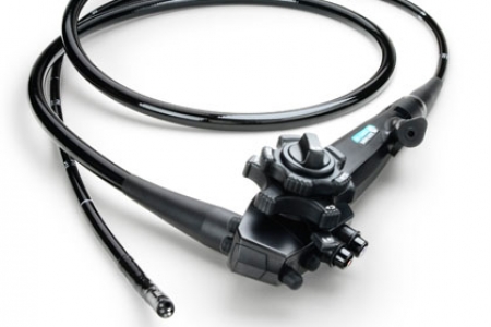 Налбандова Дарья Аркадьевна фото