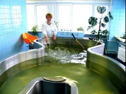 Специализированная клиническая больница восстановительного лечения