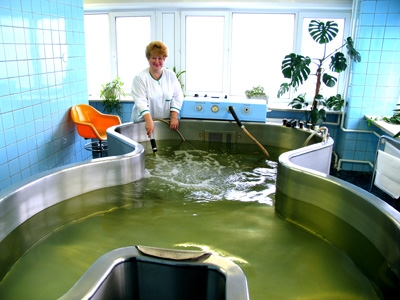 Специализированная клиническая больница восстановительного лечения