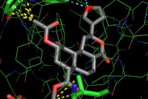 Ученые создают комбинацию лекарств для лечения зависимости