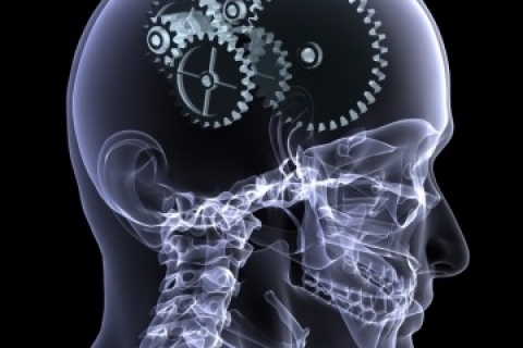 Раскрыт механизм потери памяти