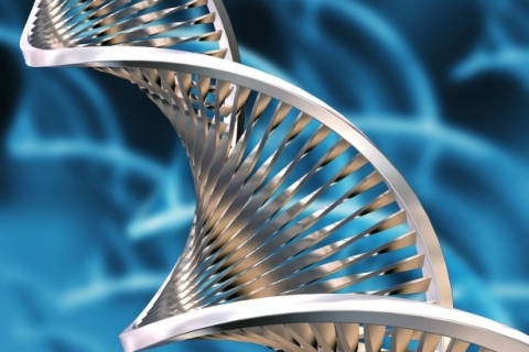 Биотехнологии идут к нам