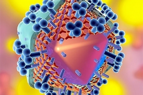 Лекарственная профилактика ВИЧ-инфекции разрешена в США