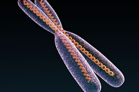 Изучен ген врожденной слепоты