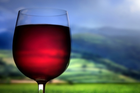 Ученые утверждают: умеренное употребление алкоголя предупреждает развитие остеопороза