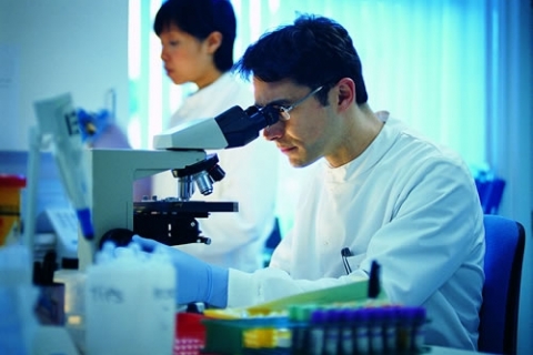 Нанотехнологии для обычных лабораторных исследований