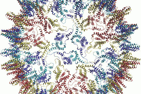 Новая вакцина от гепатита В будет исследована в США