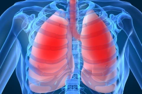 Раскрыт механизм хронических воспалительных заболеваний легких