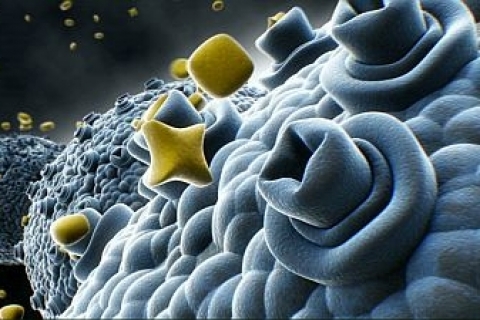 Биоэлектронный нанонос в диагностике заболеваний