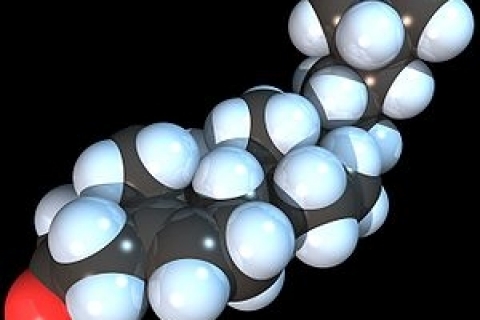 Диета для лечения тяжелых нервных заболеваний