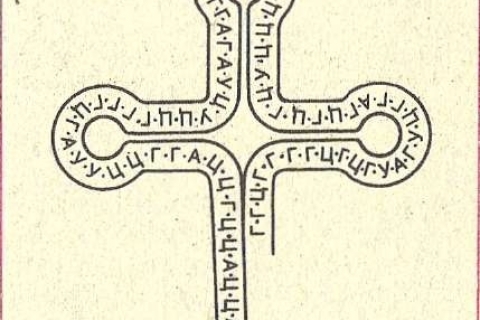 Изучены внутриклеточные механизмы борьбы с токсинами