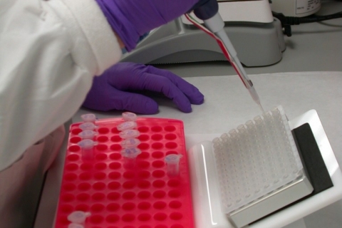 Генная терапия остеопороза: таблетка XXI века?