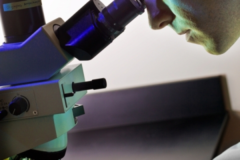 Доказана причина 32 онкологических заболеваний