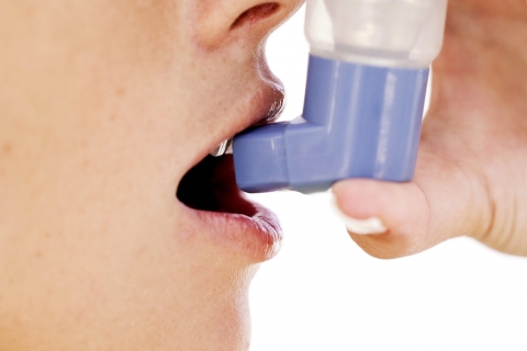 Аллергические заболевания вернутся в самом конце мая - начале июня