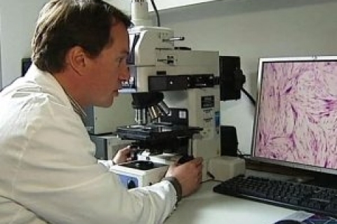 Стволовые клетки продолжают жизнь после смерти