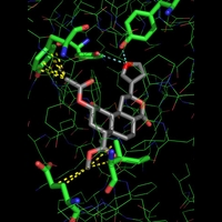 Ученые создают комбинацию лекарств для лечения зависимости