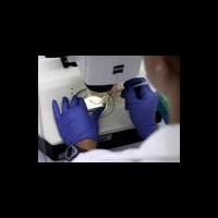 Препараты генной инженерии появятся в России летом 2012 года