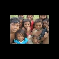 За ошибки в клинических исследованиях заплатят ученые