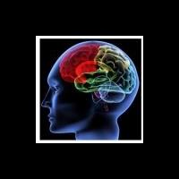 Антиоксиданты не влияют на течение болезни Альцгеймера