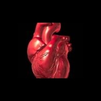 Вице-президенту США пересадили сердце