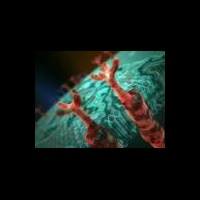 В инновационном противоопухолевом препарате не оказалось лекарства