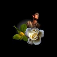 Сеть медицинских центров