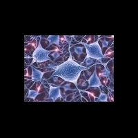 Ранние изменения в головном мозге позволяют заранее прогнозировать болезнь Альцгеймера