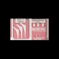 3D-моделирование костной ткани