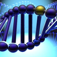 Ученые создадут генетическую карту сахарного диабета