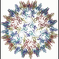 Новая вакцина от гепатита В будет исследована в США