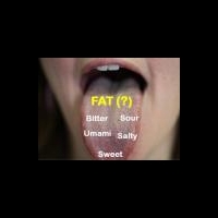 Выявлена генетическая зависимость к приему жирной пищи