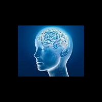 Протеин, управляющий памятью