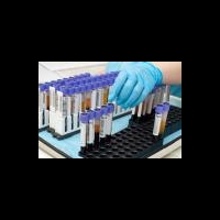 Биобанк поможет выявить причины заболеваний