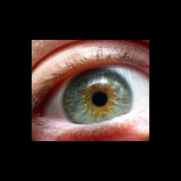 Биометрические технологии приходят в медицину