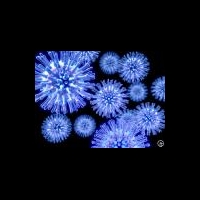 Люди с группой крови A(II) предрасположены к вирусным инфекциям