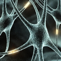 Ученые применят стволовые клетки для лечения психических расстройств